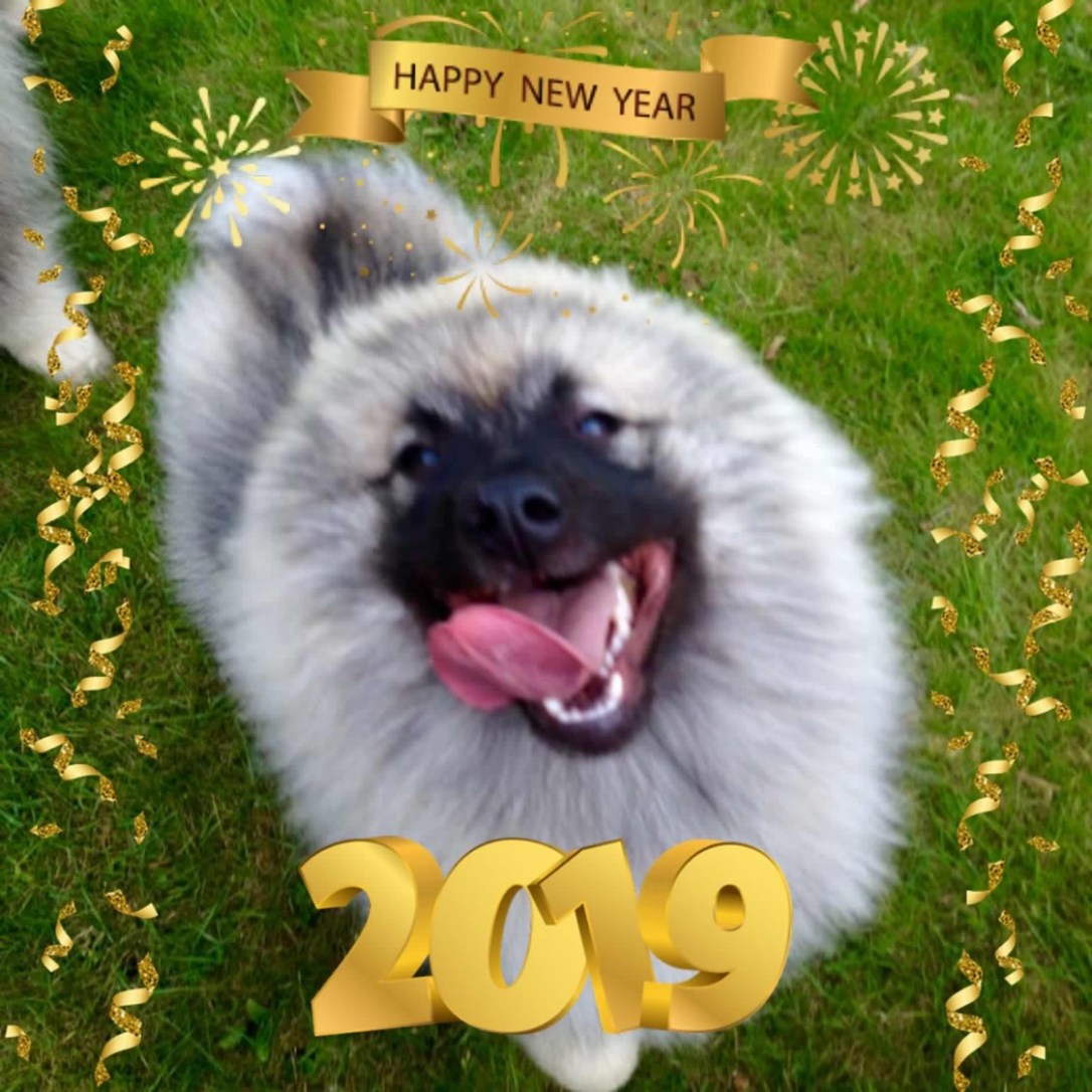 A5C1CCBE-C80B-48B6-B66B-65D1F502F201