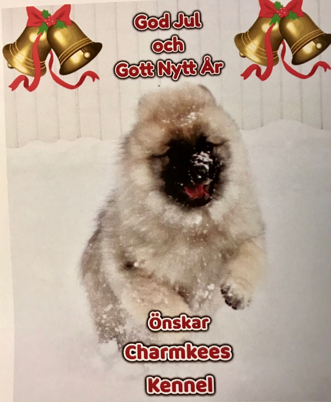 B5EAD435-1819-41E9-9D71-16AC36916B0A