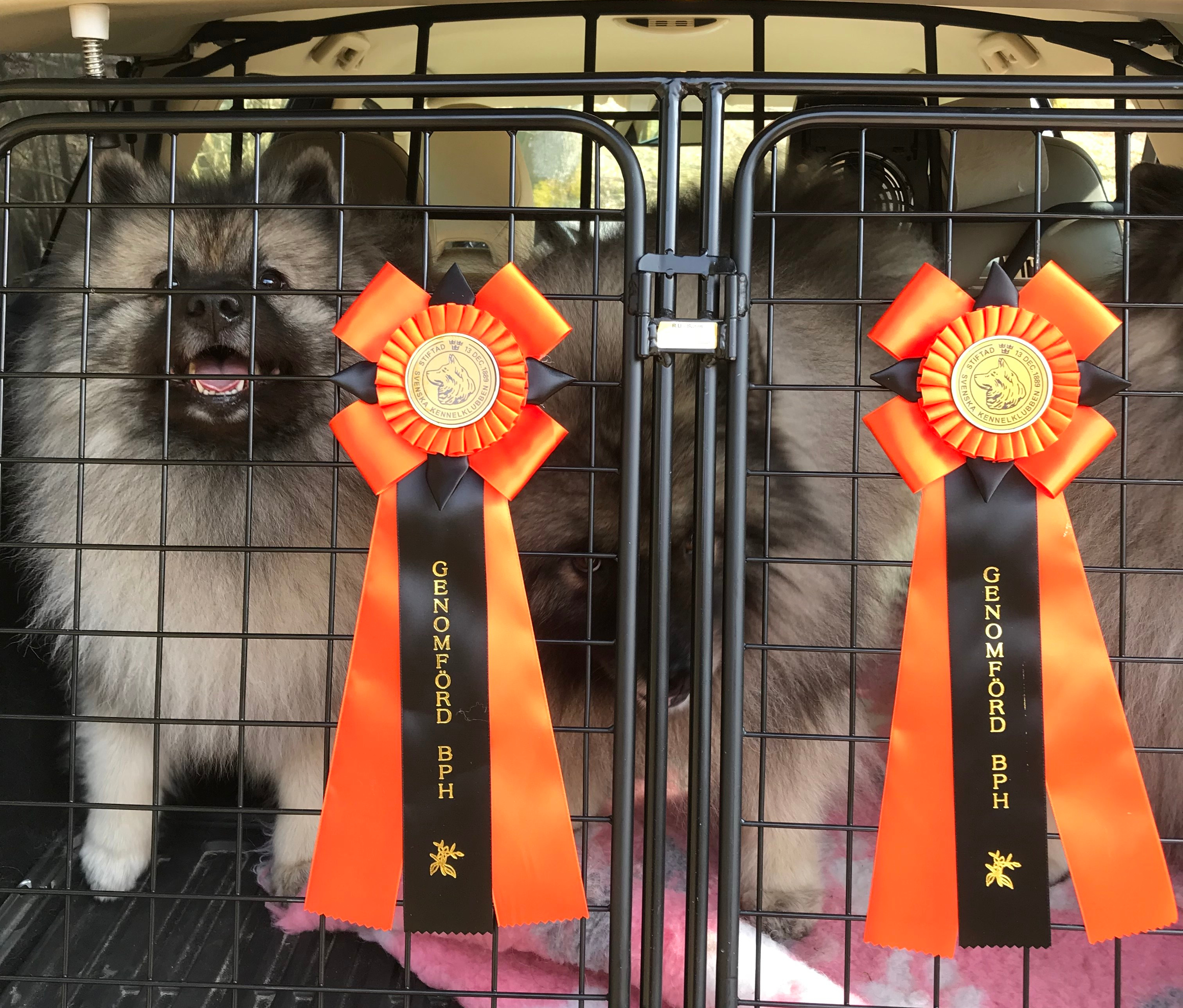 2539F827-A29D-43CF-9F07-F6714E636048